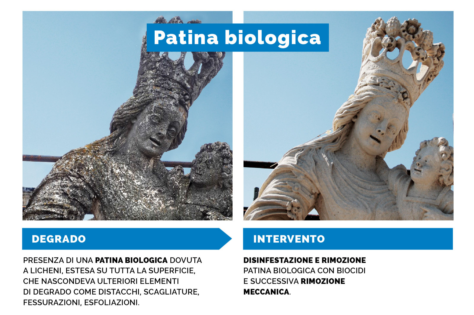Patina biologica
