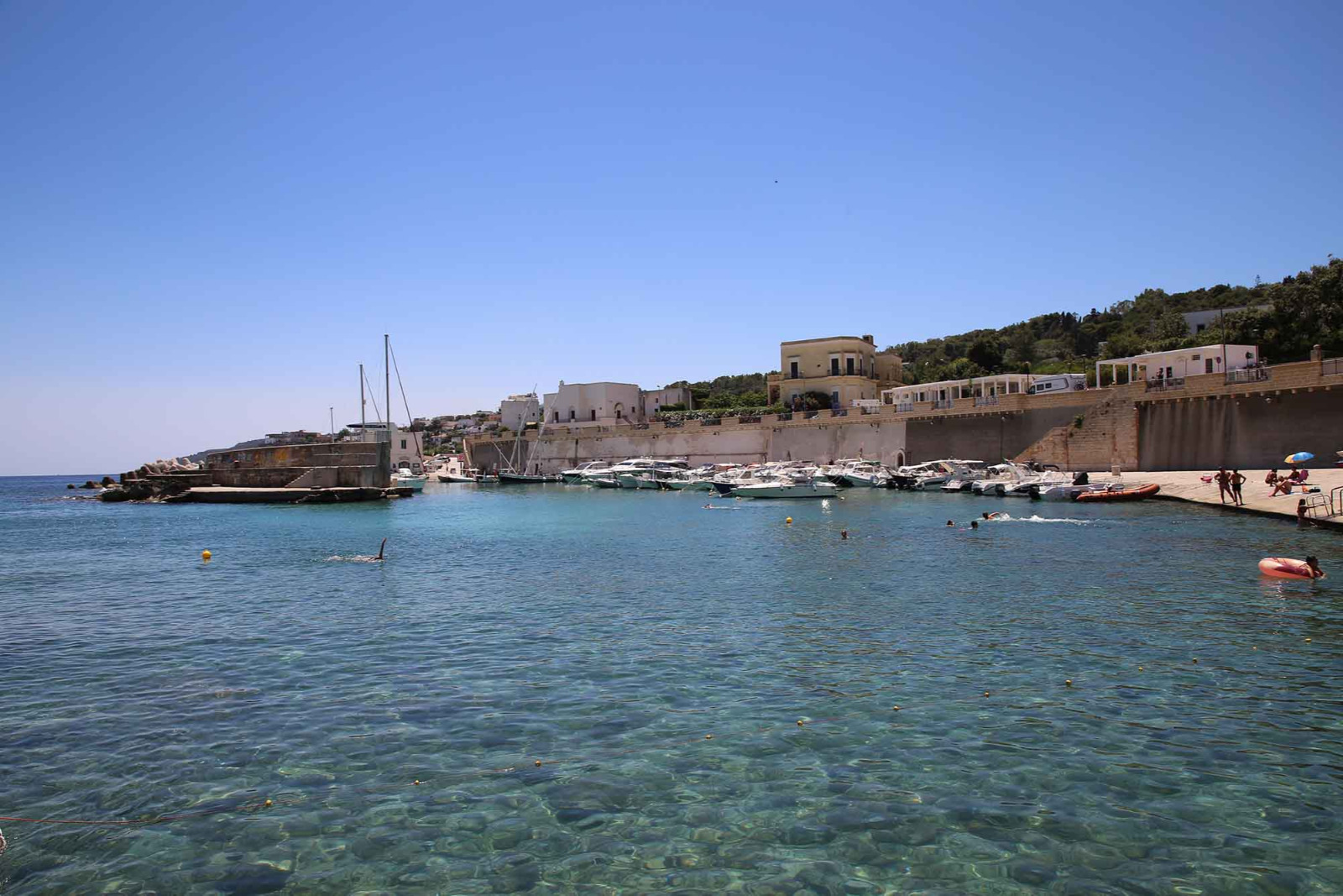 Il sistema di tutele