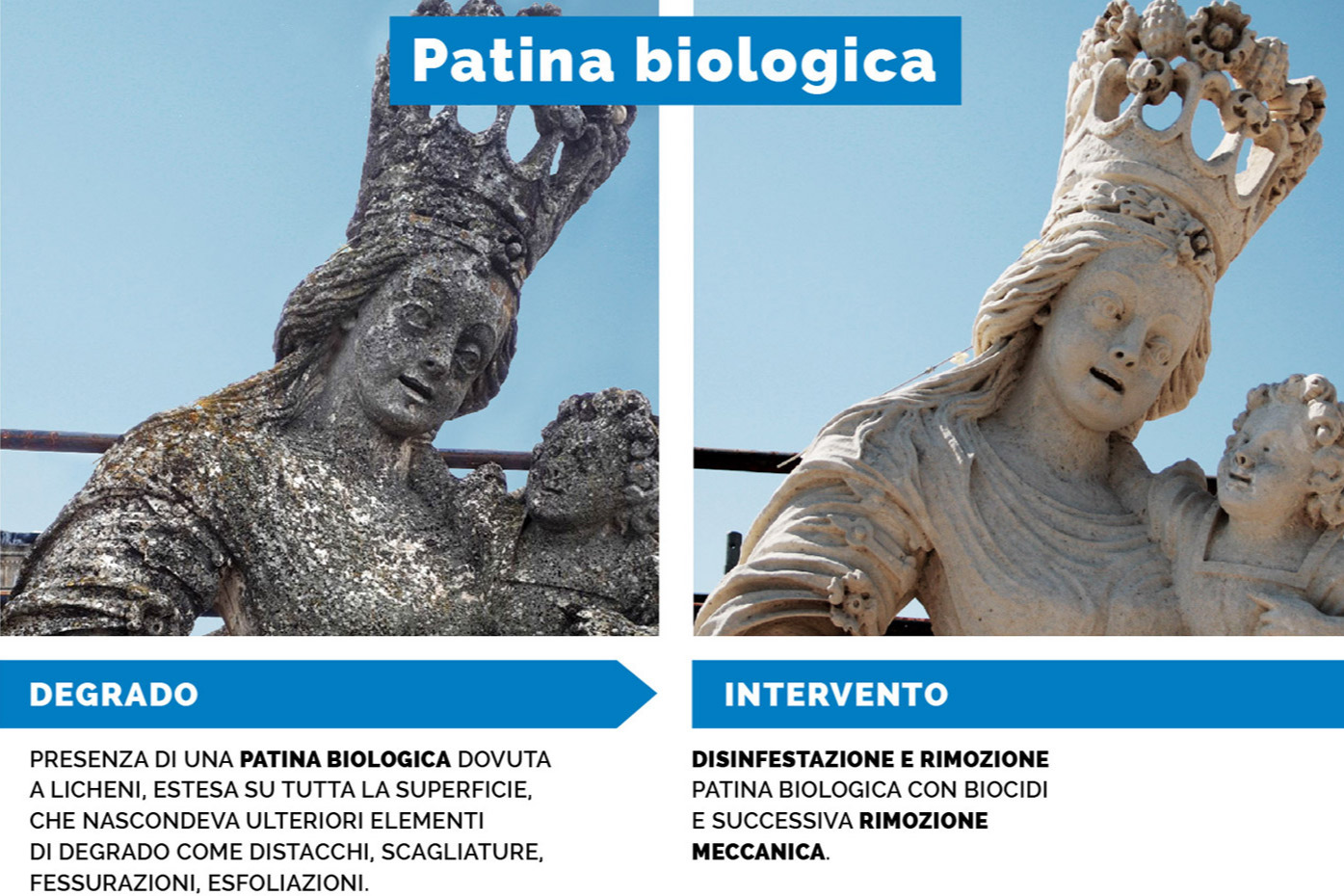 Patina biologica