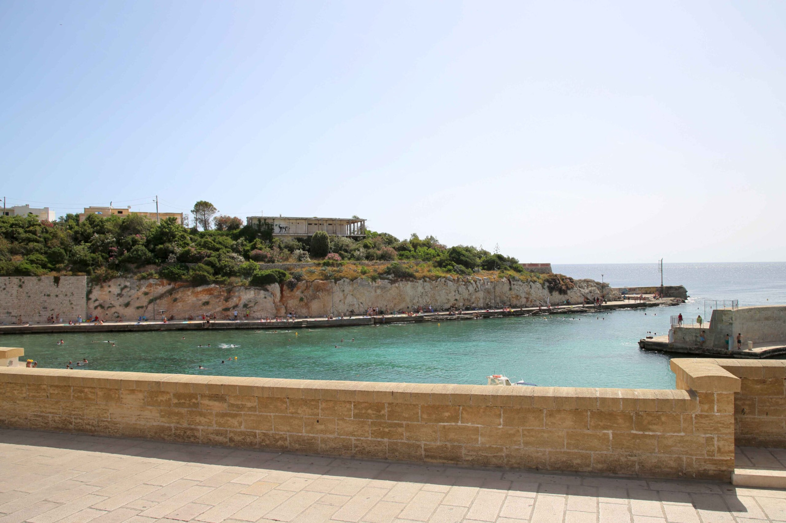 Componente Ecosistemica