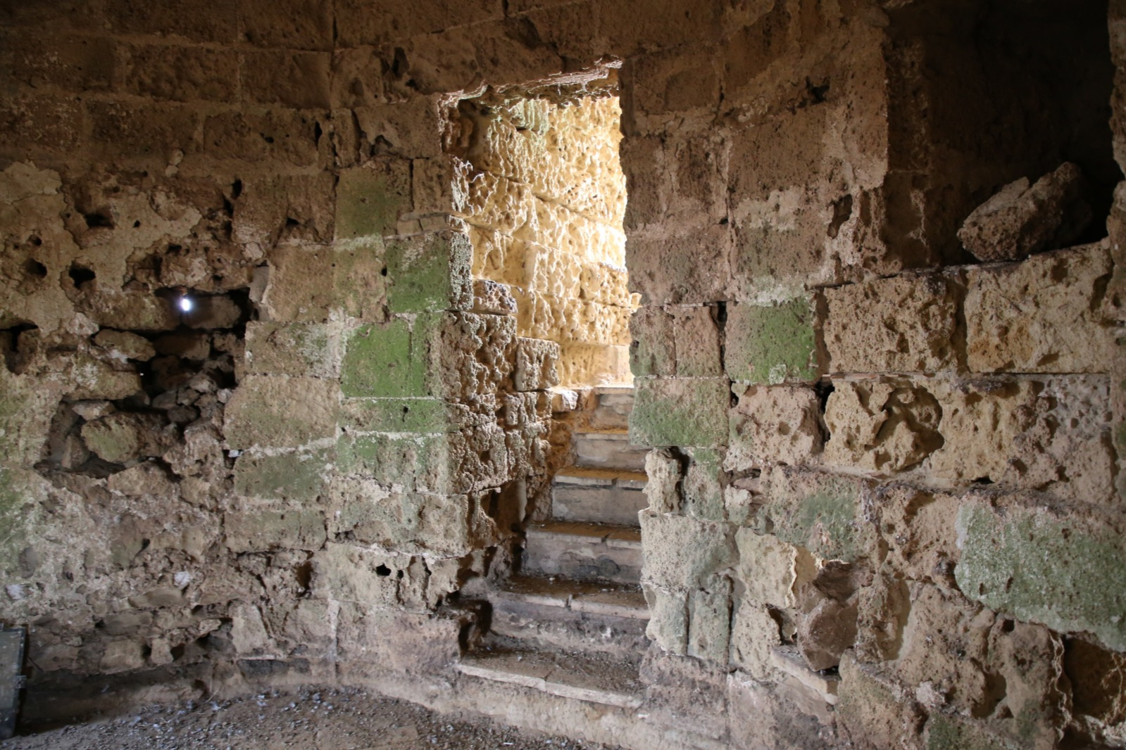 Forme di degrado riscontrate